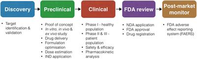 Cancer Nanomedicine and Immune System—Interactions and Challenges